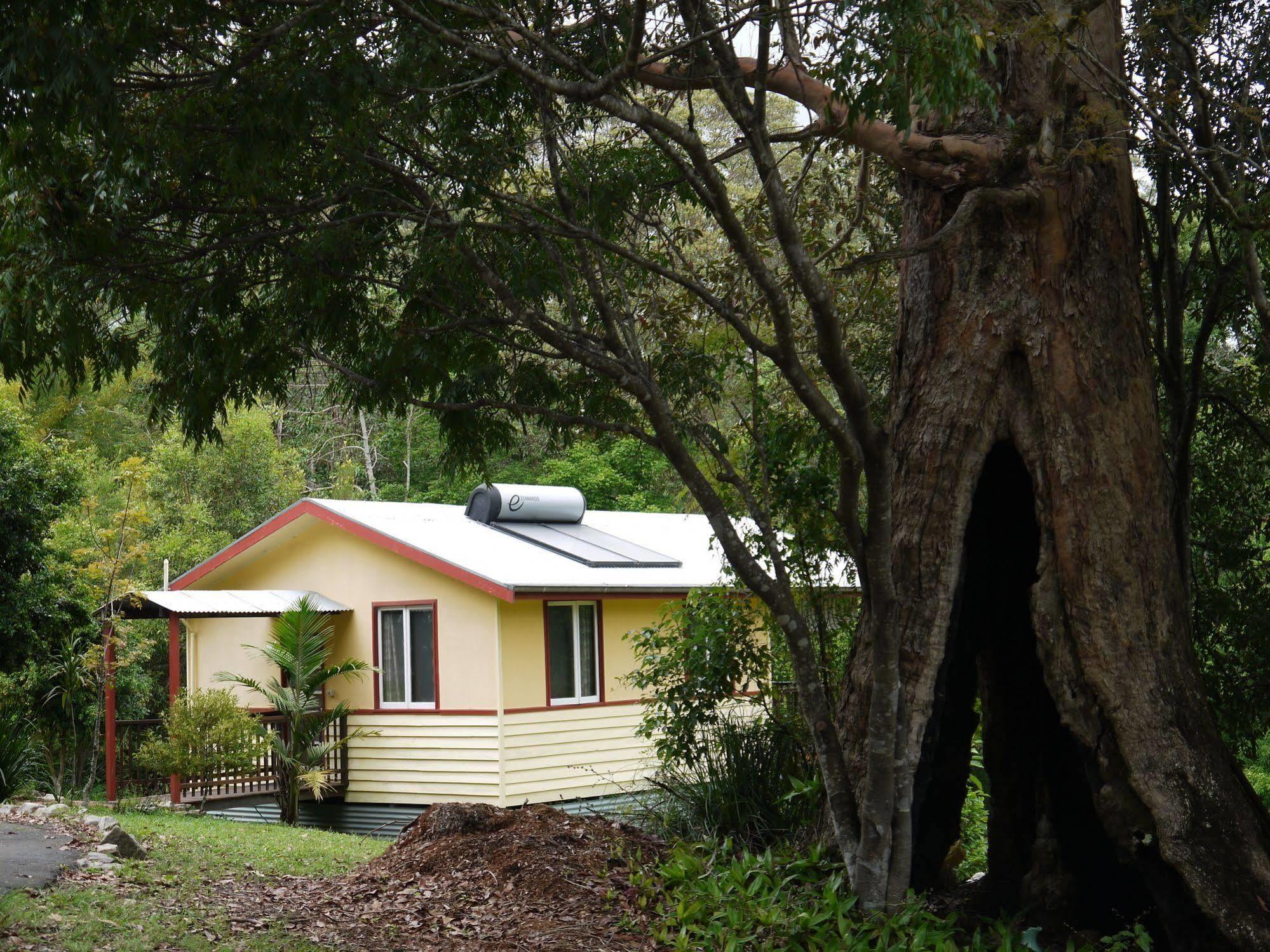 Teretre Cabins Nimbin 빌라 외부 사진